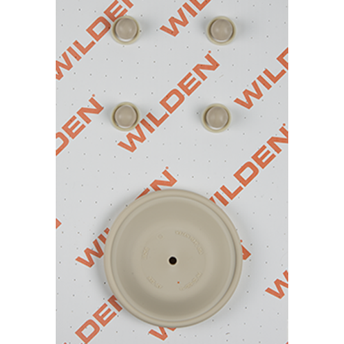WILDEN 04-9815-55-201 — product reference photograph