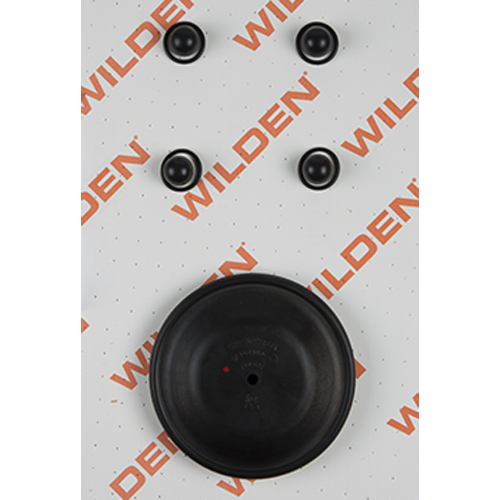 WILDEN 04-9805-58 — product reference photograph