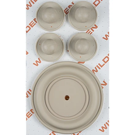 WILDEN 08-9824-58 — product reference photograph