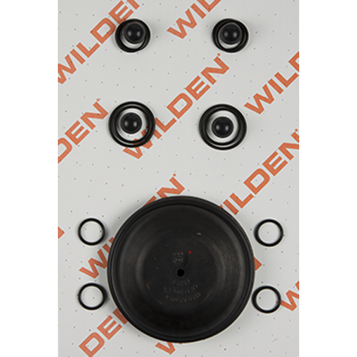 WILDEN 04-9824-51 — product reference photograph