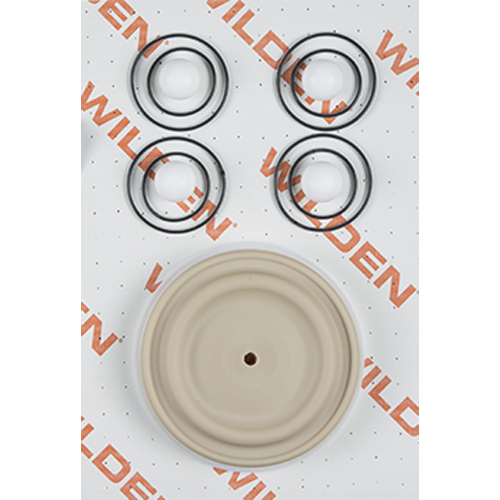 WILDEN 04-9816-55 — product reference photograph